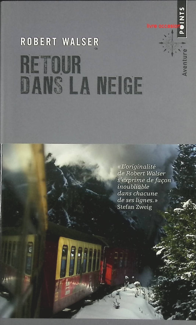 Retour dans la neige – Roman poétique et introspectif de Robert Walser - livre