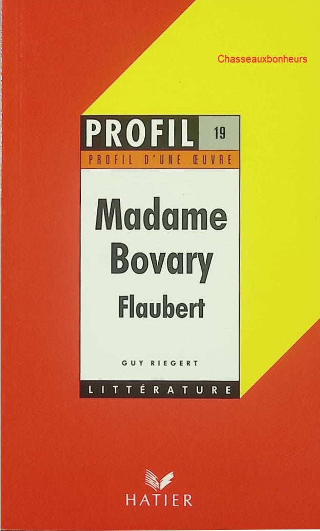Madame Bovary – Gustave Flaubert – classique littérature française roman réaliste occasion - Livre