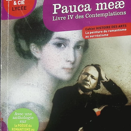 Pauca meae Livre IV des Contemplations livre classique Victor Hugo poésie romantique et analyse littéraire - Livre