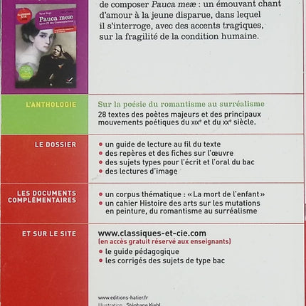 Pauca meae Livre IV des Contemplations livre classique Victor Hugo poésie romantique et analyse littéraire - Livre