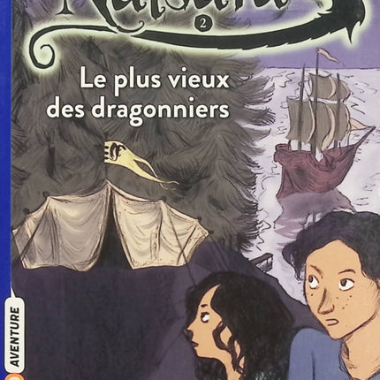 Les Dragons de Nalsara Tome 2 – Le plus vieux des dragonniers, roman fantasy jeunesse et aventure magique - Livre