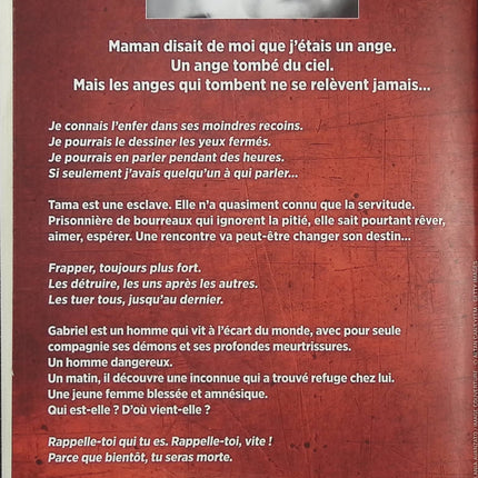 Toutes blessent, la dernière tue – Karine Giebel – Thriller psychologique bouleversant sur la violence, la survie et la quête de liberté - Livre