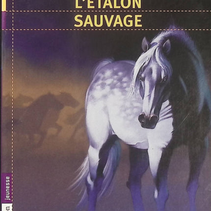Cheval Fantôme Tome 1 – L’Étalon sauvage, Terri Farley, roman jeunesse d’aventure et chevaux sauvages - Livre