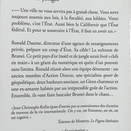 D’or et de jungle – Jean-Christophe Rufin – Roman d’aventure – Brunei, géopolitique, coup d’État et espionnage - Livre