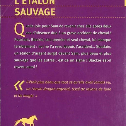 Cheval Fantôme Tome 1 – L’Étalon sauvage, Terri Farley, roman jeunesse d’aventure et chevaux sauvages - Livre