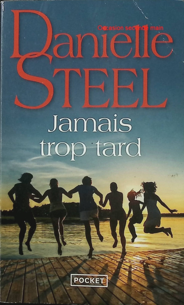 Jamais trop tard – Danielle Steel – Roman sentimental – Amour, famille, infidélité et seconde chance - Livre