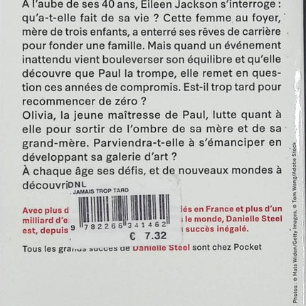 Jamais trop tard – Danielle Steel – Roman sentimental – Amour, famille, infidélité et seconde chance - Livre
