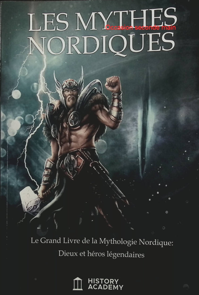Les Mythes Nordiques – Academy History – Dieux, héros légendaires et mythologie scandinave - Livre