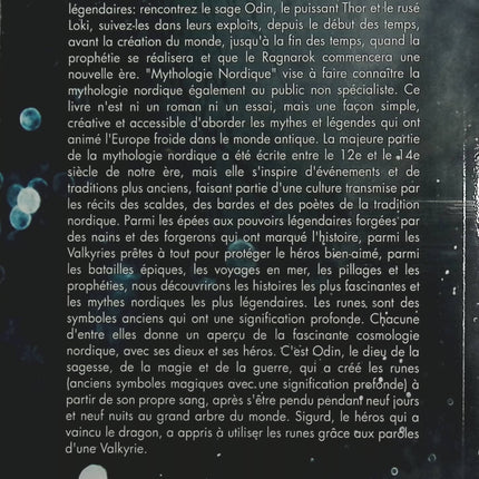 Les Mythes Nordiques – Academy History – Dieux, héros légendaires et mythologie scandinave - Livre