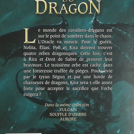 L’Œil du Dragon Tome 3 Dent-de-Sabre – Mark Robson, roman fantastique jeunesse avec dragons, magie et aventures épiques - Livre