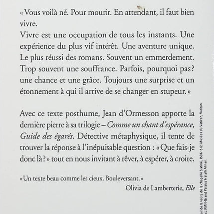 Un hosanna sans fin – Jean d’Ormesson – Roman philosophique et méditatif sur la vie, le temps et l’éternité - Livre