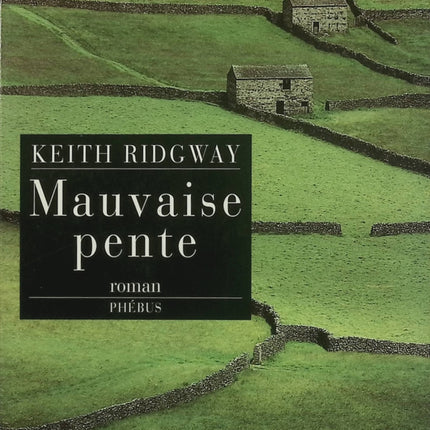 Mauvaise pente – Keith Ridgway – Roman contemporain noir, suspense psychologique et descente morale dans l’Angleterre urbaine - Livre