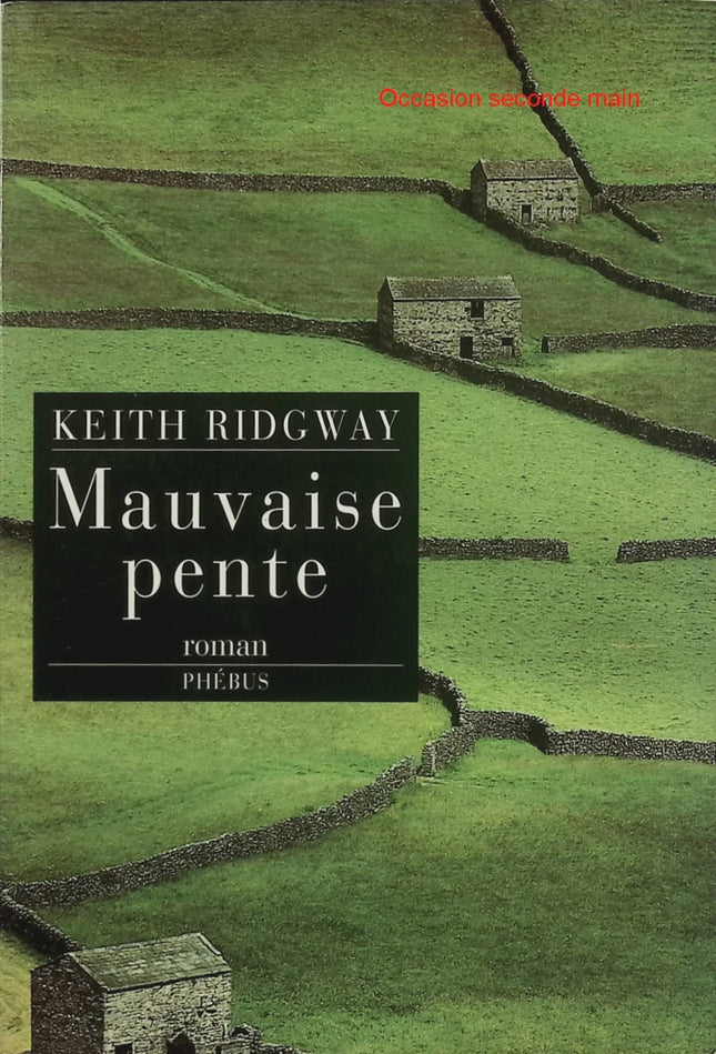Mauvaise pente – Keith Ridgway – Roman contemporain noir, suspense psychologique et descente morale dans l’Angleterre urbaine - Livre