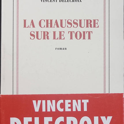 La Chaussure sur le toit – Vincent Delecroix – Roman – Histoires croisées, personnages et destins - Livre