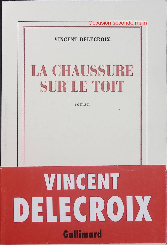 La Chaussure sur le toit – Vincent Delecroix – Roman – Histoires croisées, personnages et destins - Livre