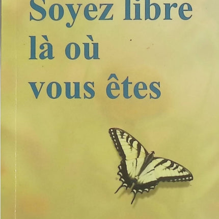 Soyez libre là où vous êtes – Thich Nhat Hanh, pleine conscience, méditation et liberté intérieure - Livre