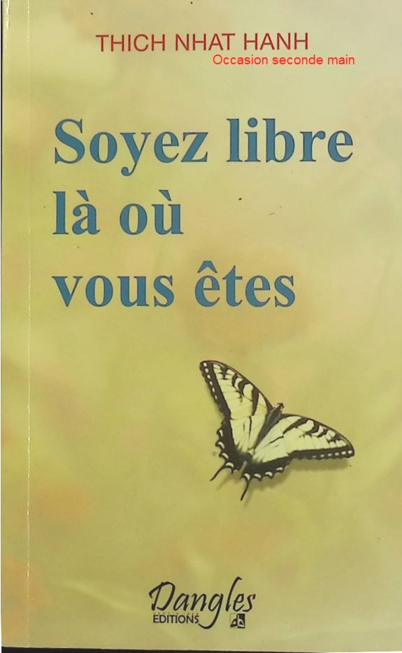 Soyez libre là où vous êtes – Thich Nhat Hanh, pleine conscience, méditation et liberté intérieure - Livre