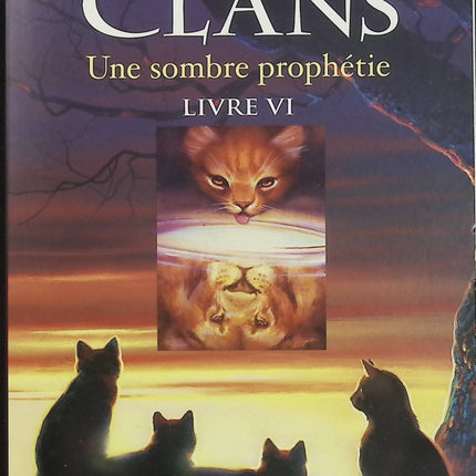 La Guerre des Clans Cycle 1 Tome 6 Une sombre prophétie | Erin Hunter | Roman jeunesse d'occasion - Livre