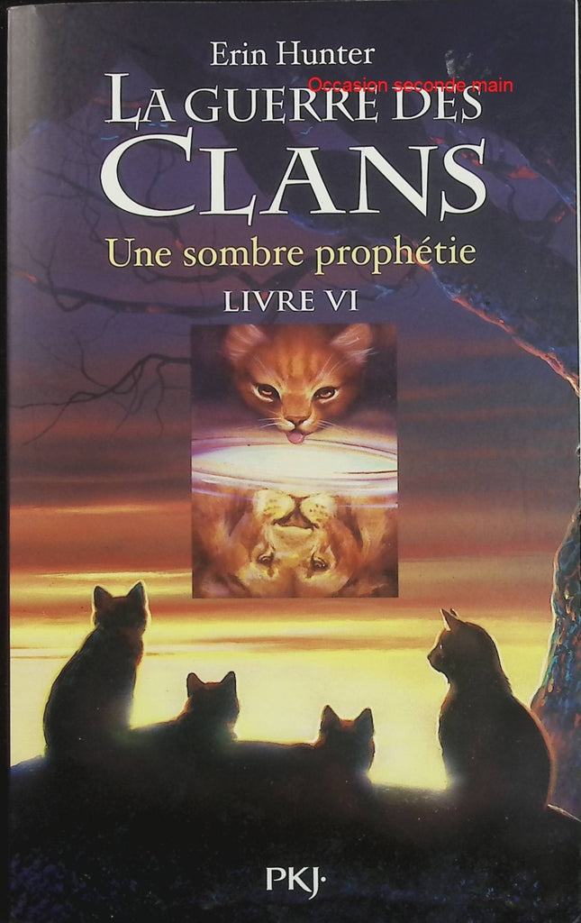 La Guerre des Clans Cycle 1 Tome 6 Une sombre prophétie | Erin Hunter | Roman jeunesse d'occasion - Livre