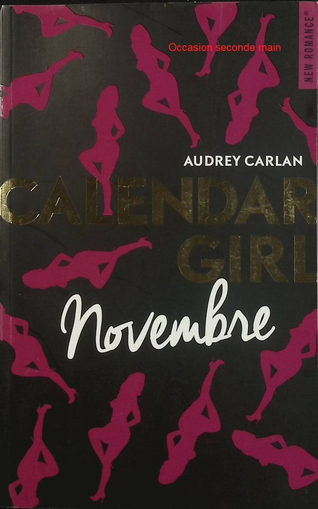 Calendar Girl – Novembre – Audrey Carlan – New Romance romantique et passionnelle - Livre