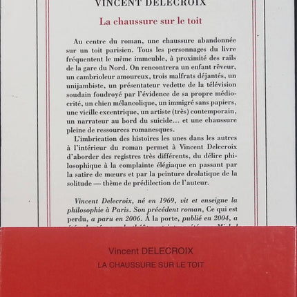 La Chaussure sur le toit – Vincent Delecroix – Roman – Histoires croisées, personnages et destins - Livre