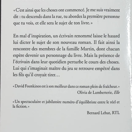 La famille Martin – David Foenkinos – Roman contemporain, famille, amour et hasard – Livre d’occasion - Livre