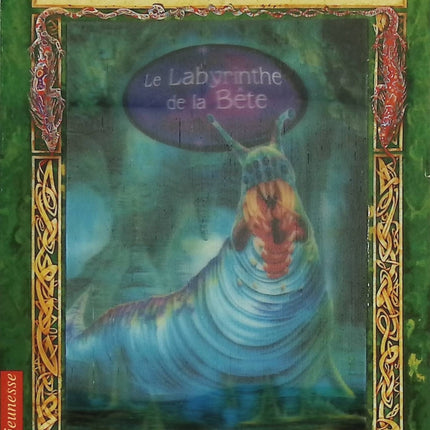 La Quête de Deltora Tome 6 – Le Labyrinthe de la Bête – Emily Rodda – Roman fantasy jeunesse aventure dès 9 ans - Livre