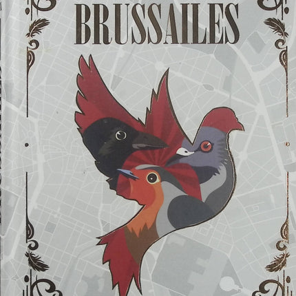Brussailes – Éléonore Devillepoix – roman jeunesse fantastique, aventure, magie, créatures et quête initiatique - Livre