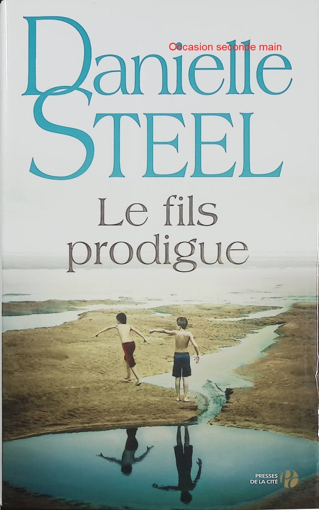 Le Fils prodigue – Danielle Steel | Roman familial, suspense et secrets entre deux frères - Livre