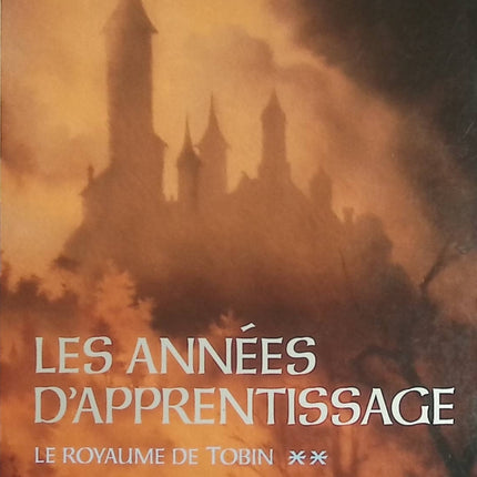 Le Royaume de Tobin, Tome 2 : Les années d’apprentissage - Lynn Flewelling - Fantasy d'occasion - Saga épique - Livre