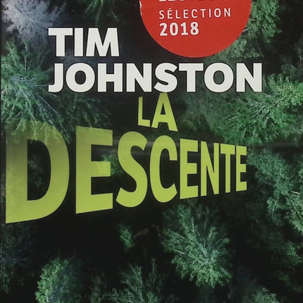 La Descente – Tim Johnston – Thriller psychologique – Disparition dans les Rocheuses – Polar - Livre