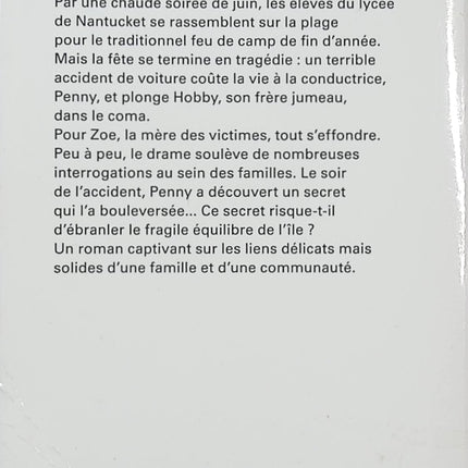 Secret d'été - Elin Hilderbrand - Roman à Nantucket - Drame familial - Accident - Secrets - Amitié - Été - Livre