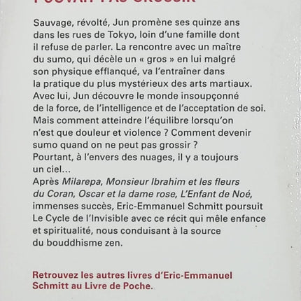 Le Sumo qui ne pouvait pas grossir – Éric-Emmanuel Schmitt – Roman initiatique, Japon et zen – Livre d’occasion - Livre