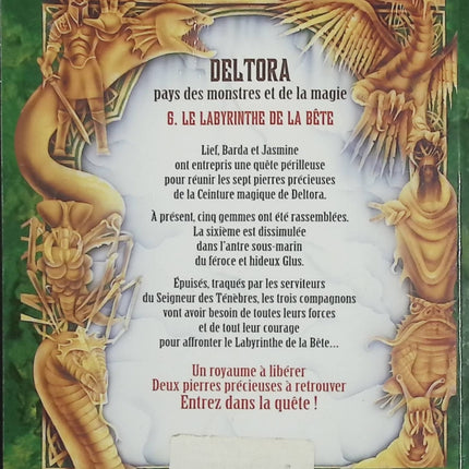 La Quête de Deltora Tome 6 – Le Labyrinthe de la Bête – Emily Rodda – Roman fantasy jeunesse aventure dès 9 ans - Livre
