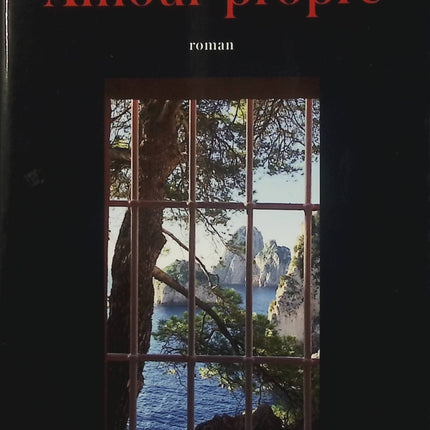 Amour propre – Sylvie Le Bihan – roman contemporain psychologique et quête identitaire - Livre