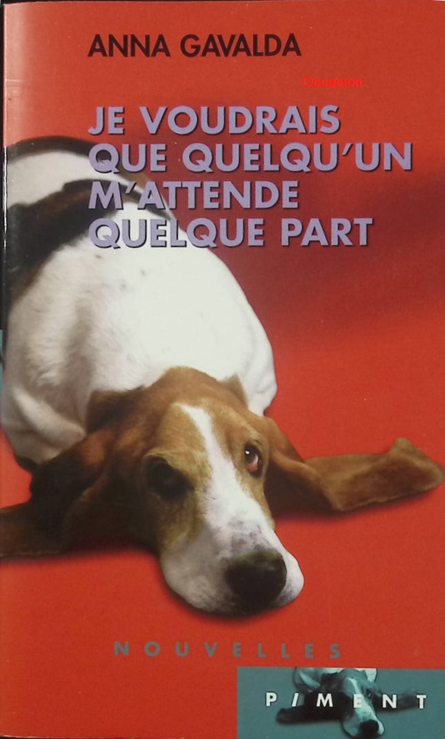 Je voudrais que quelqu’un m’attende quelque part – Anna Gavalda | Recueil de nouvelles émouvantes sur la vie quotidienne - Livre