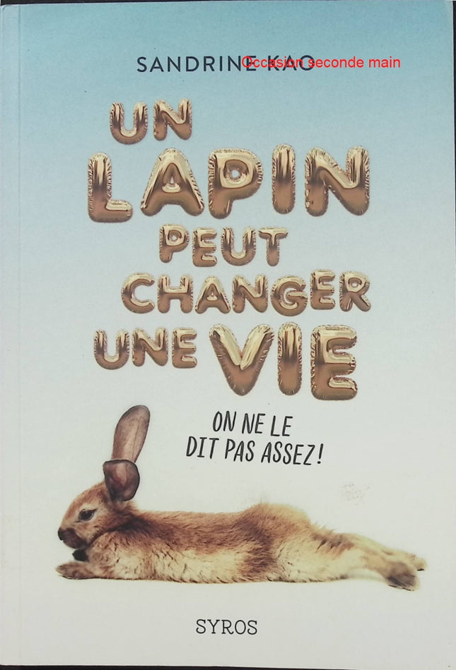 Un lapin peut changer une vie – Sandrine Kao – Roman jeunesse – Amitié, famille et émotions - Livre