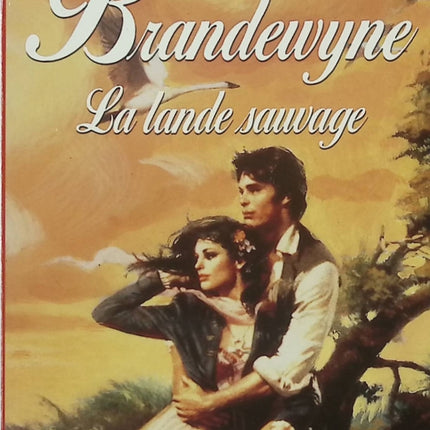 La Lande sauvage – Rebecca Brandewyne – Romance historique et passion au cœur de l’Irlande - Livre