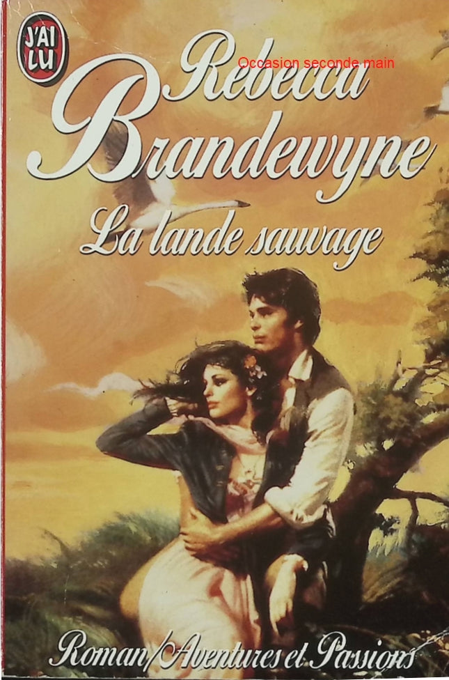 La Lande sauvage – Rebecca Brandewyne – Romance historique et passion au cœur de l’Irlande - Livre