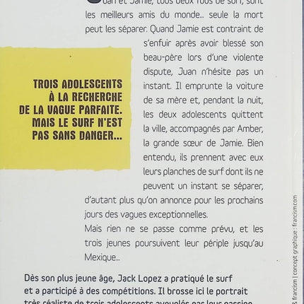 La Vague – Todd Strasser – Roman jeunesse réaliste – expérience de manipulation et dictature en milieu scolaire - Livre