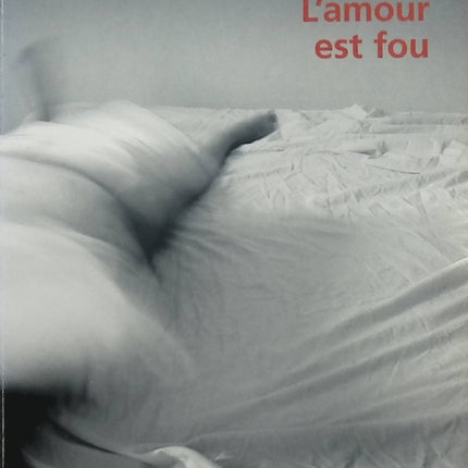 L'amour est fou – Yann Queffélec – Roman d’amour, passion et relations familiales - Livre