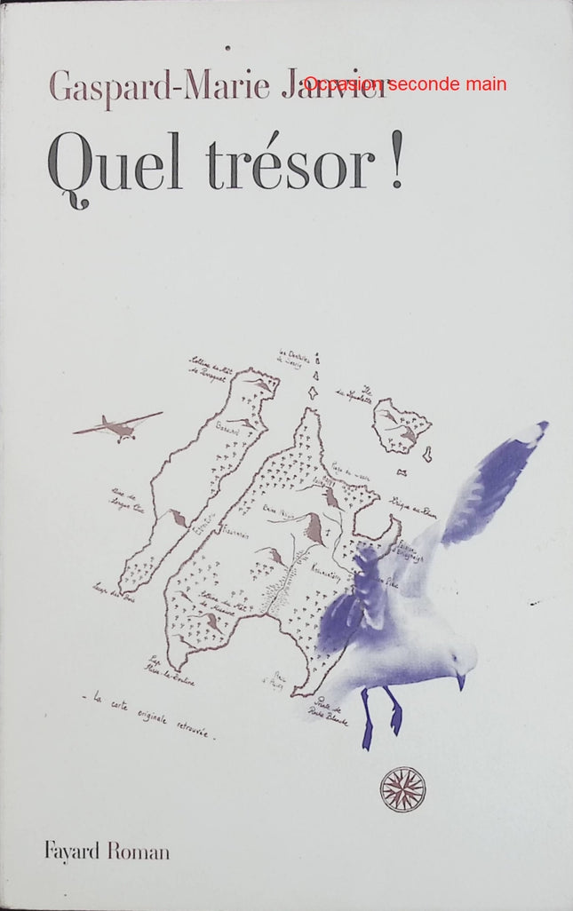 Quel trésor ! – Gaspard-Marie Janvier – Roman d’aventures, quête de trésor et héritage littéraire écossais autour de Stevenson - Livre
