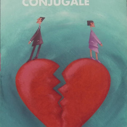 Une affaire conjugale - Eliette Abecassis - roman contemporain, couple, mariage, amour et crise conjugale - Livre