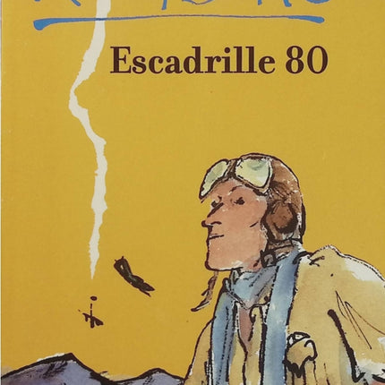 Escadrille 80 – Roald Dahl – autobiographie, récit de guerre, aviation, Afrique, enfance, aventure - Livre