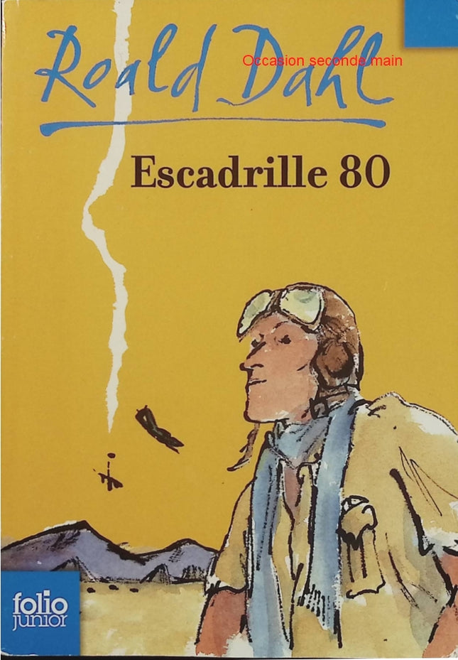 Escadrille 80 – Roald Dahl – autobiographie, récit de guerre, aviation, Afrique, enfance, aventure - Livre