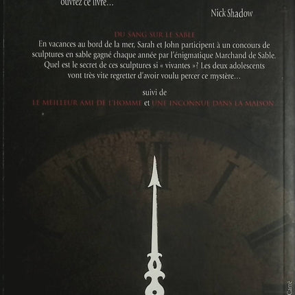 The Midnight Library Tome 2 – Du Sang Sur Le Sable – David G. Savage – roman jeunesse aventure, enquête, suspense et mystère - Livre