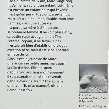 L'amour est fou – Yann Queffélec – Roman d’amour, passion et relations familiales - Livre