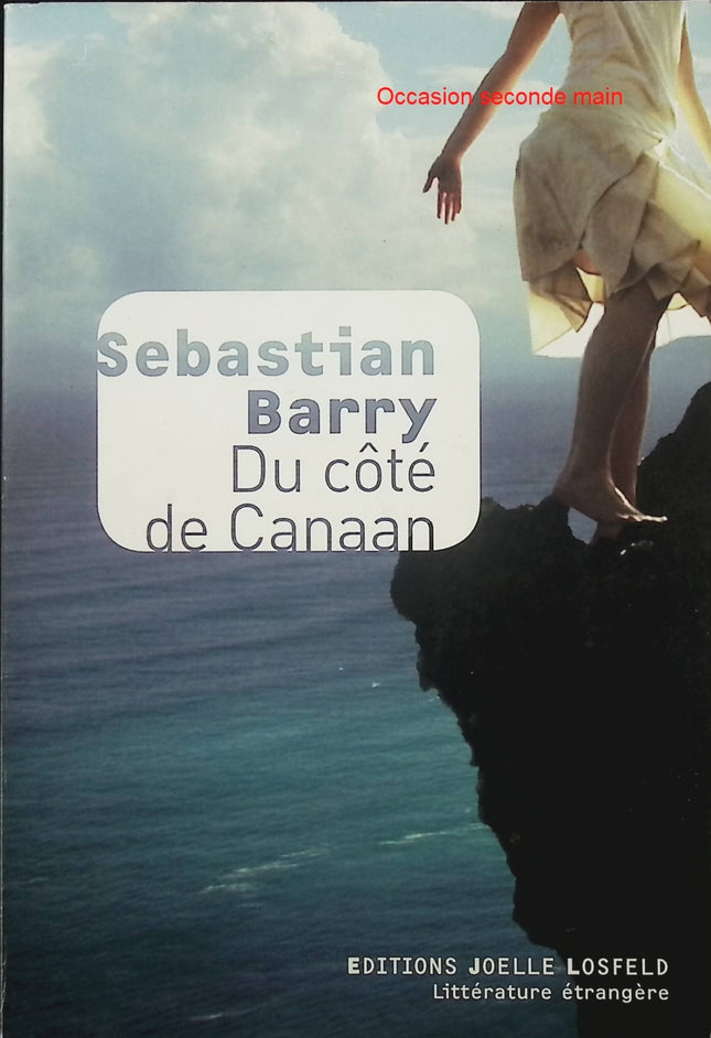 Du côté de Canaan – Sebastian Barry – Saga familiale irlandaise entre exil, mémoire et secrets - Livre