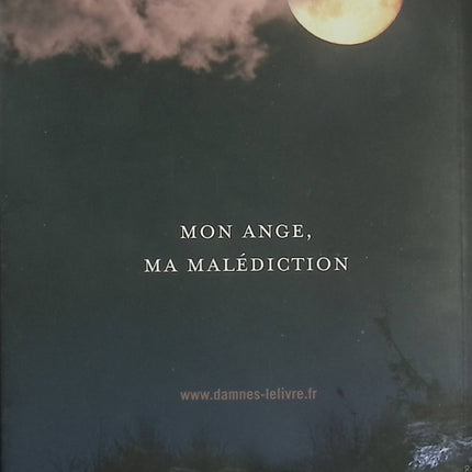 Damnés Tome 3 Passion - Lauren Kate - Romance fantastique - Luce - Daniel - Réincarnation - Malédiction - Livre