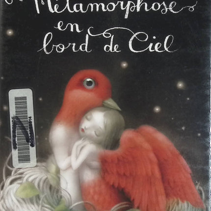 Métamorphose en bord de ciel – Édition de luxe – Mathias Malzieu – Roman poétique, fantastique et imaginaire  - Livre